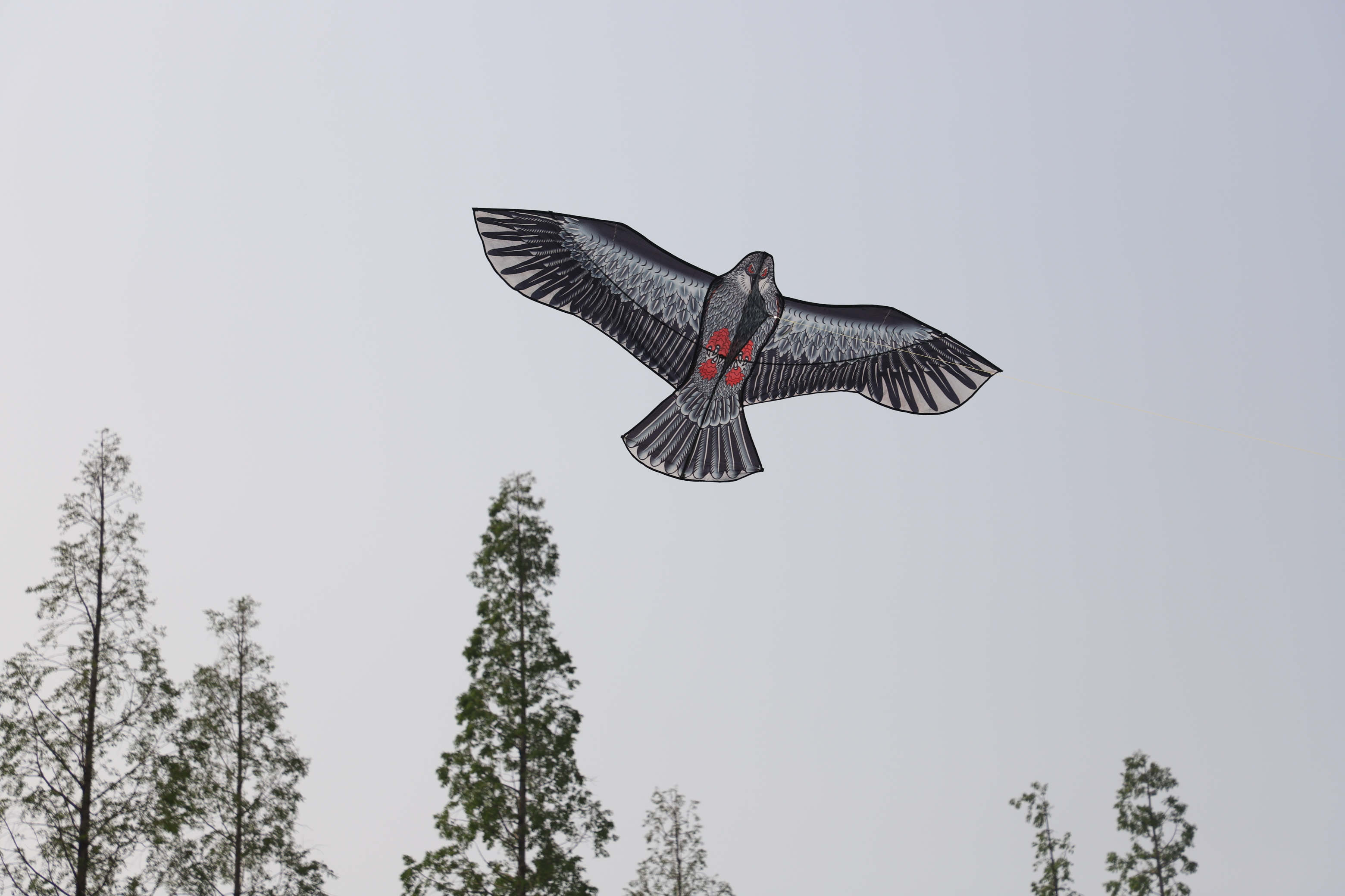 IMG_7089.JPG