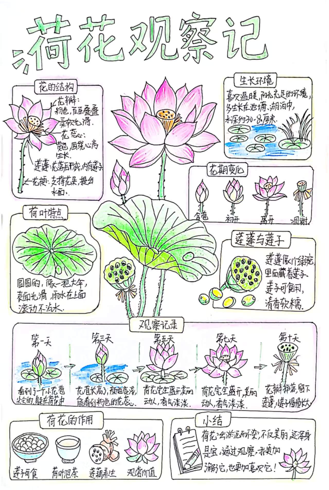 图10.jpg