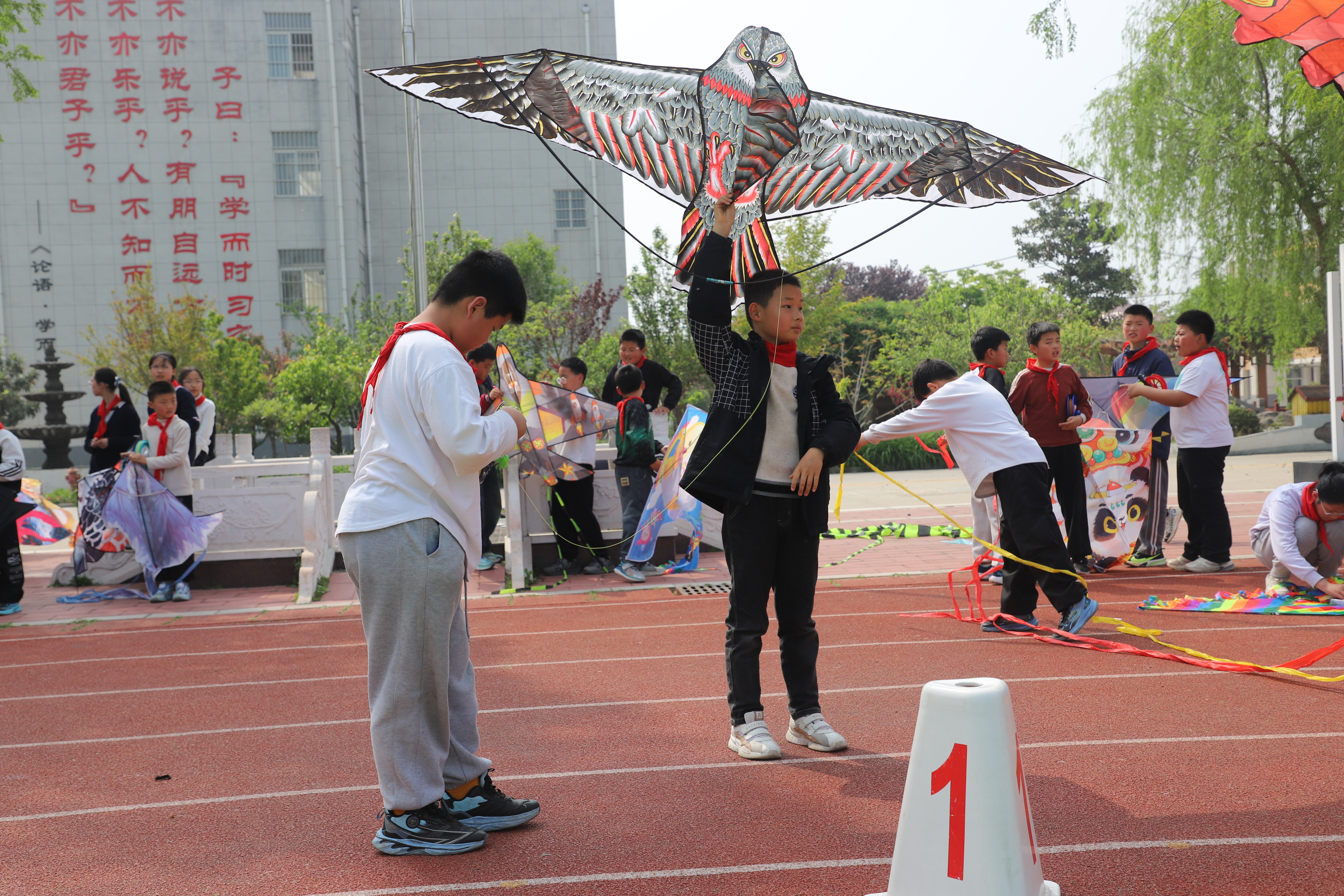 IMG_7019.JPG