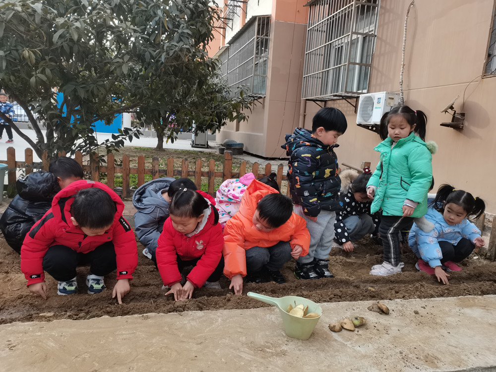 图四(1)_副本.jpg