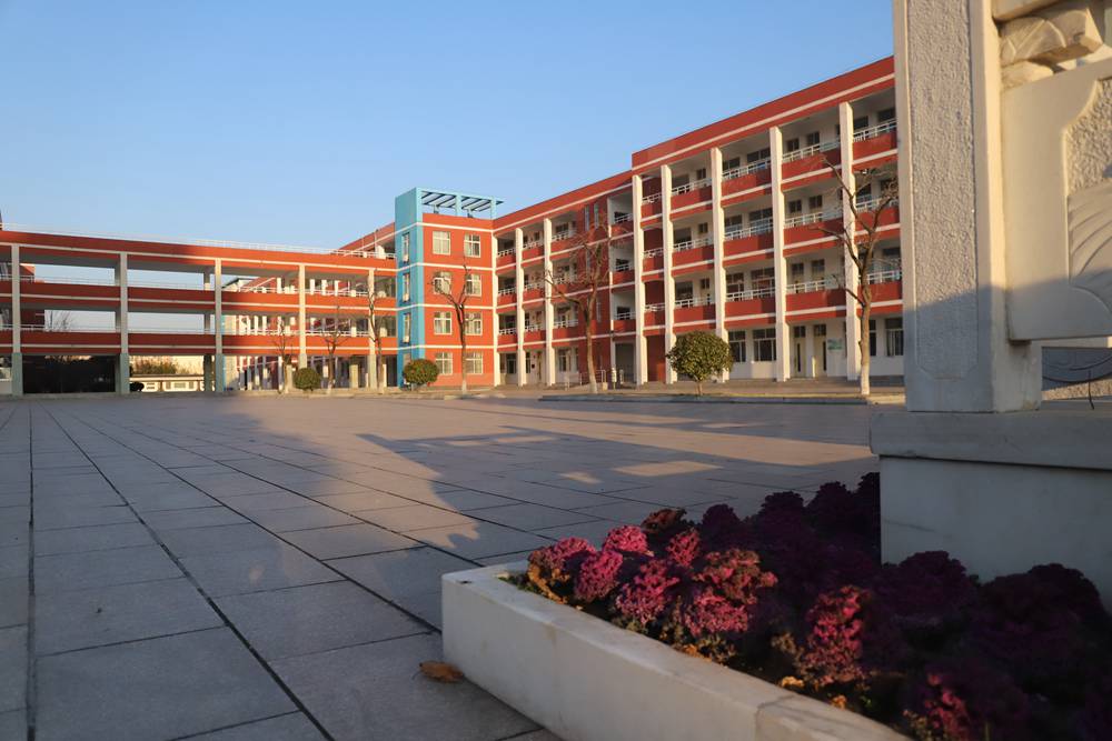 黄海路小学:春风贺喜无言语 排比花枝满校园