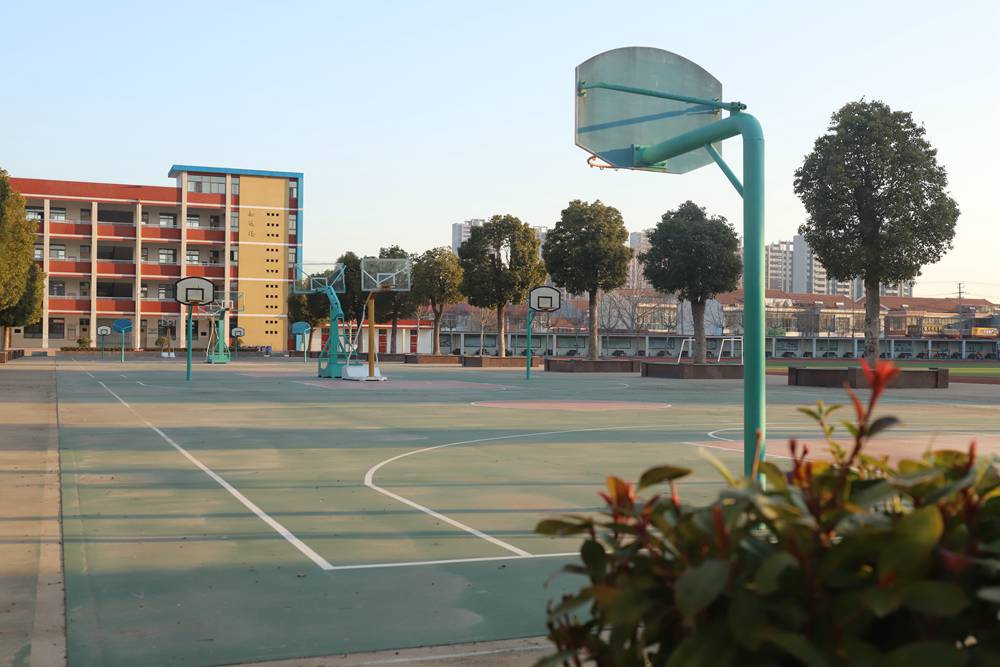 黄海路小学:春风贺喜无言语 排比花枝满校园