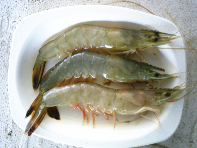 9赣榆东方大对虾1.jpg