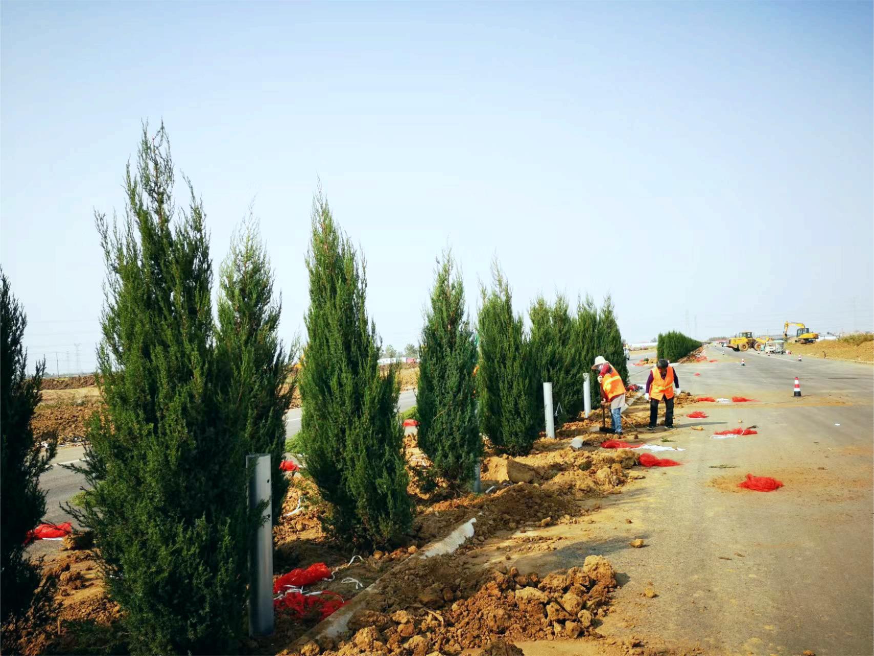 绿化施工01.jpg