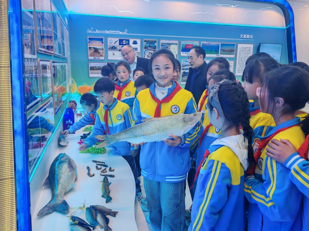 IMG_20250331_145205_副本.jpg
