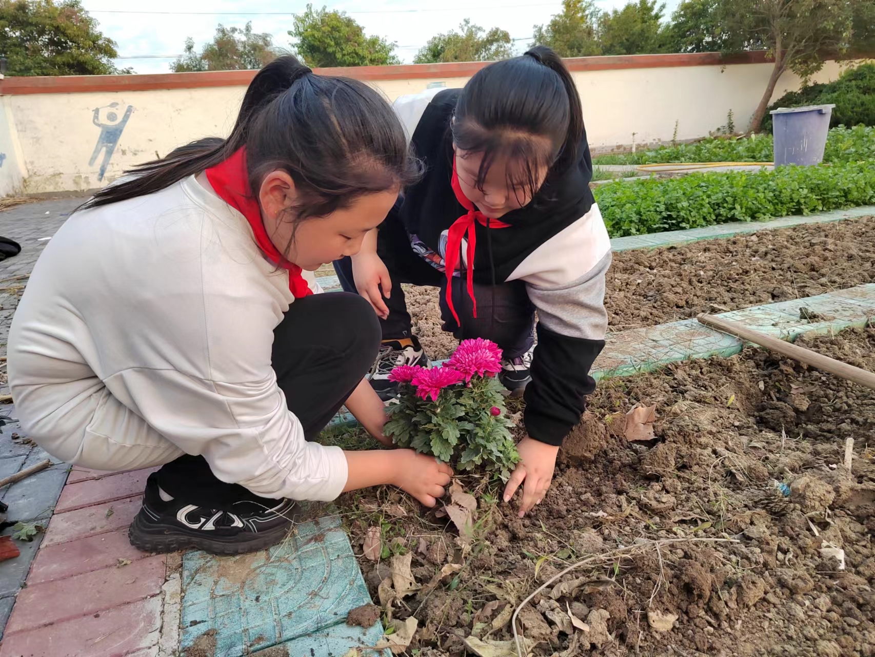 宋庄小学花卉种植我能行乐享劳动助成长