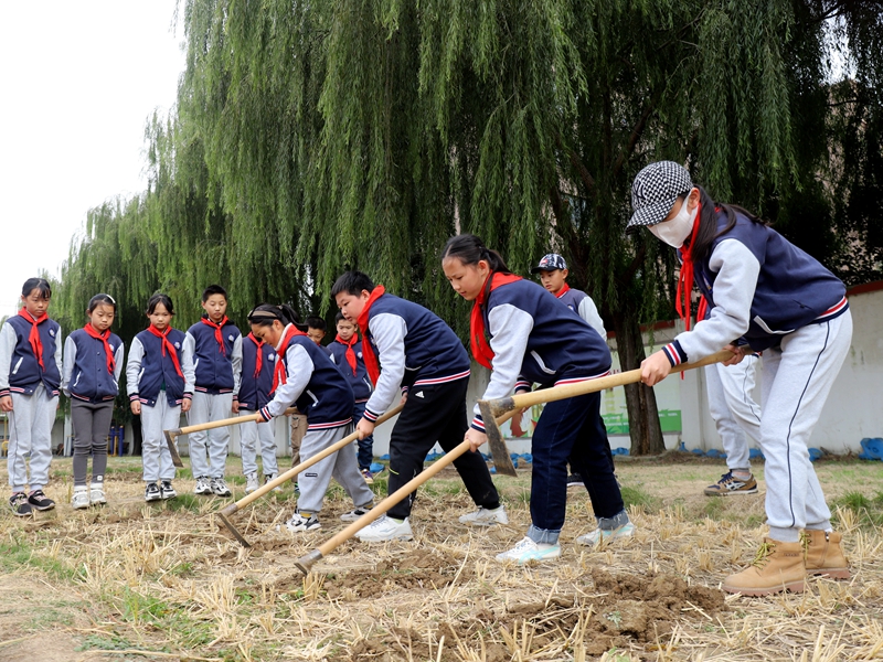黄海路小学学生试验田里播种忙