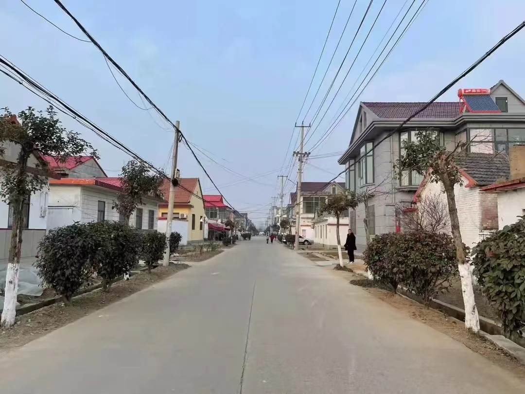 石桥镇用五个一吹响冬训新号角