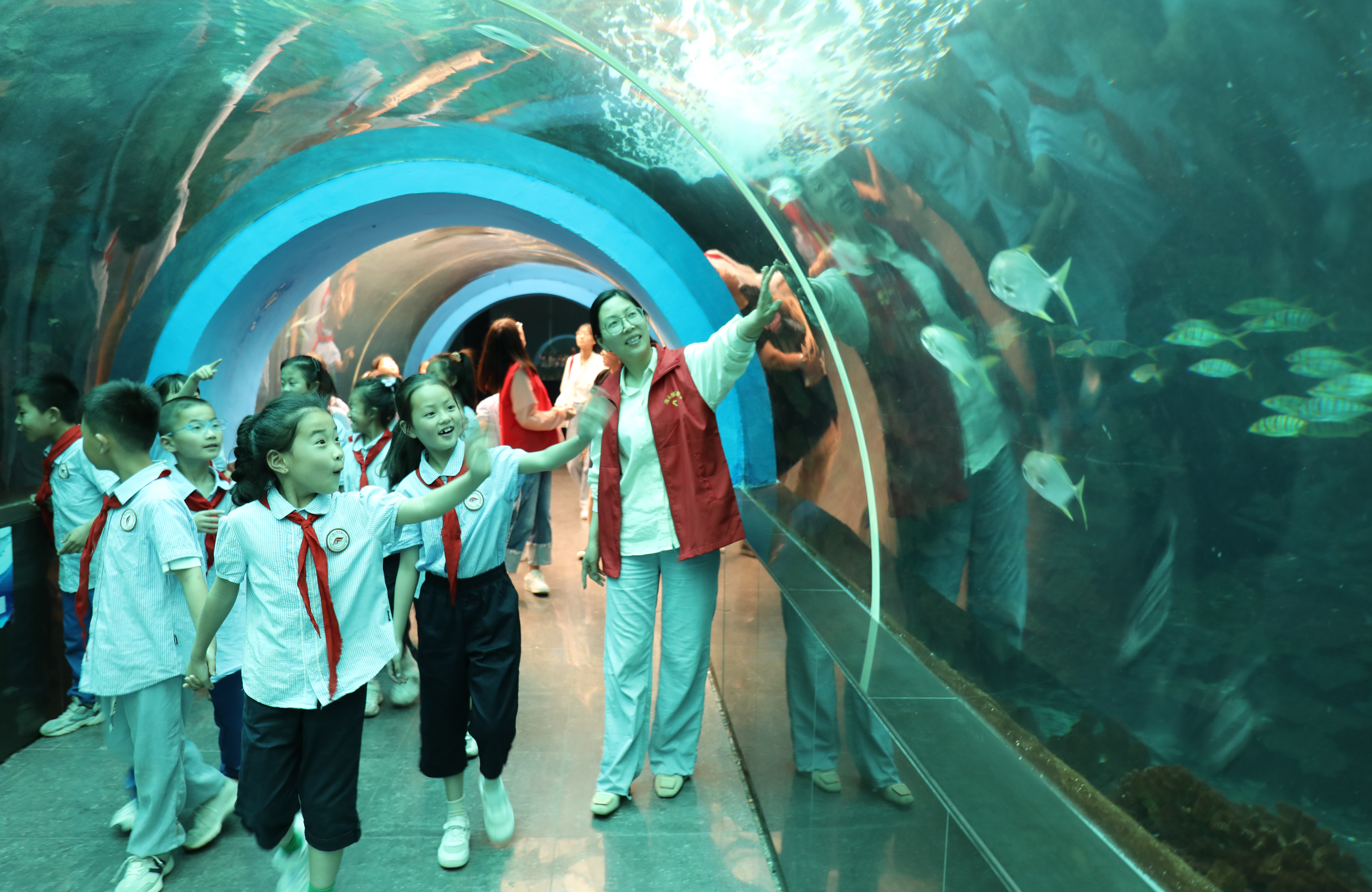 组织学生们走进江苏省科普教育基地——连云港海州湾海洋乐园,学习
