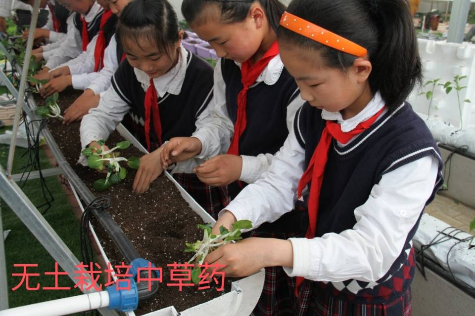 我区在第十八届江苏美境行动中再获佳绩