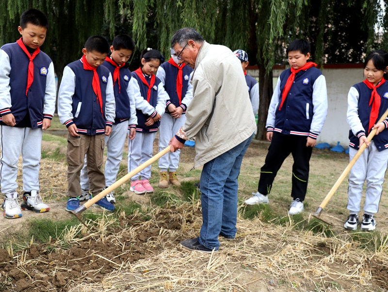 黄海路小学学生试验田里播种忙
