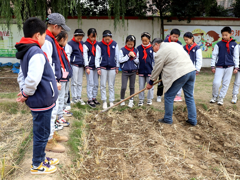 黄海路小学学生试验田里播种忙