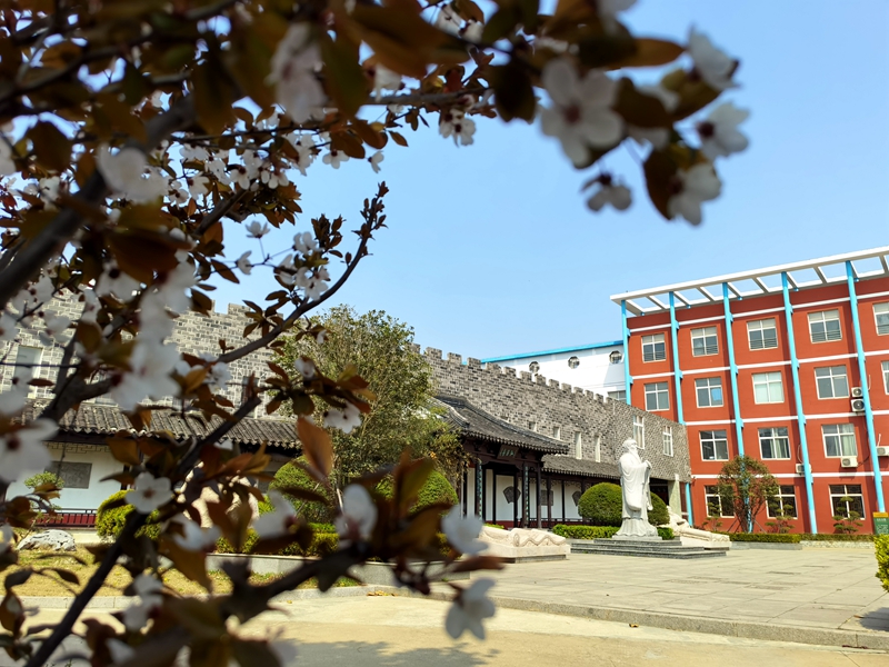 黄海路小学春天的校园繁花似锦