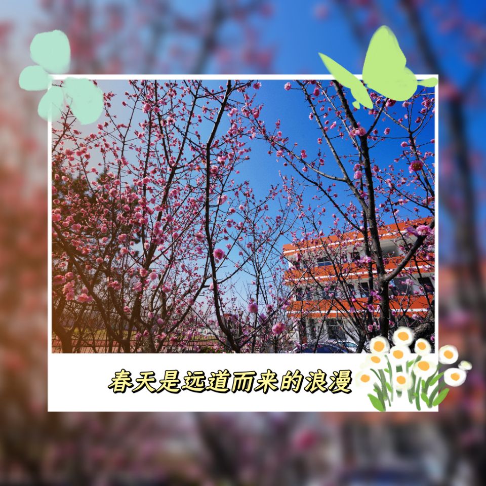 QQ图片20220328205849.jpg