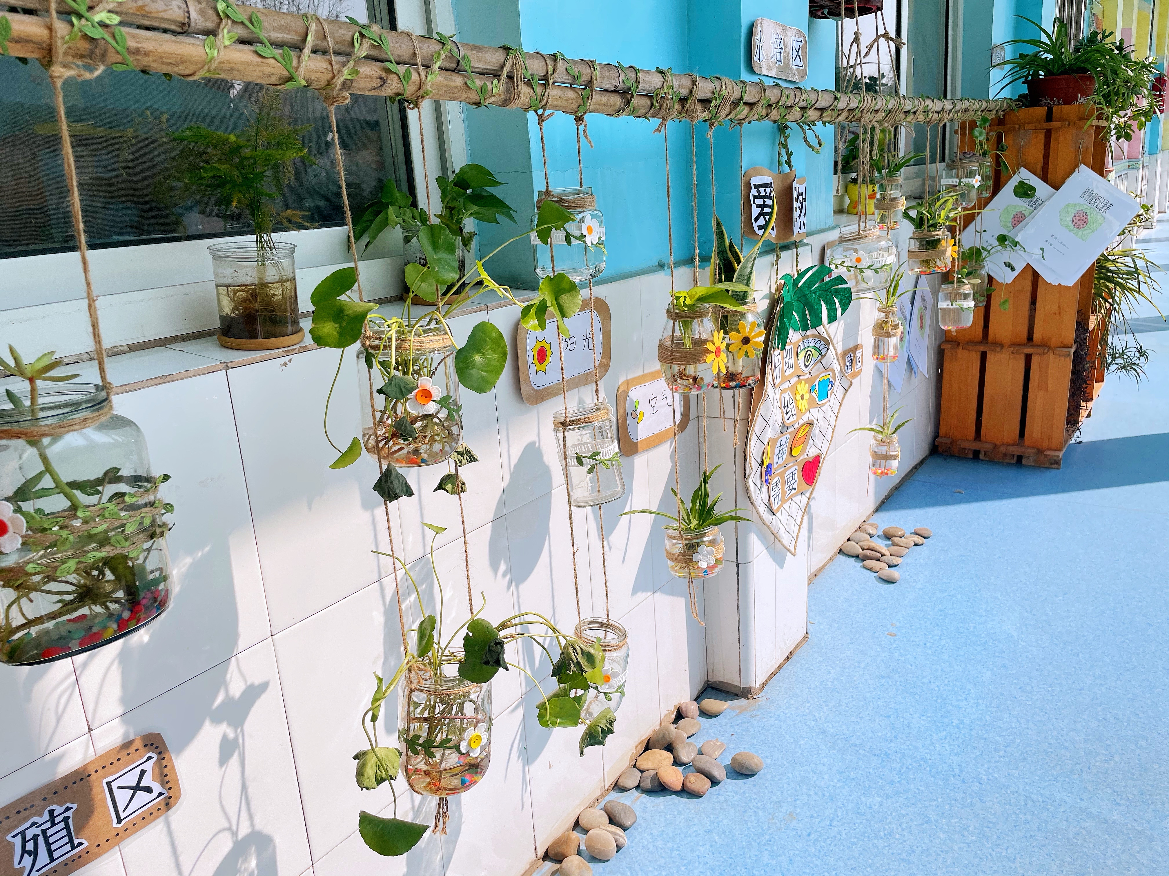 龙河中心幼儿园小角落大自然自然角分享交流活动